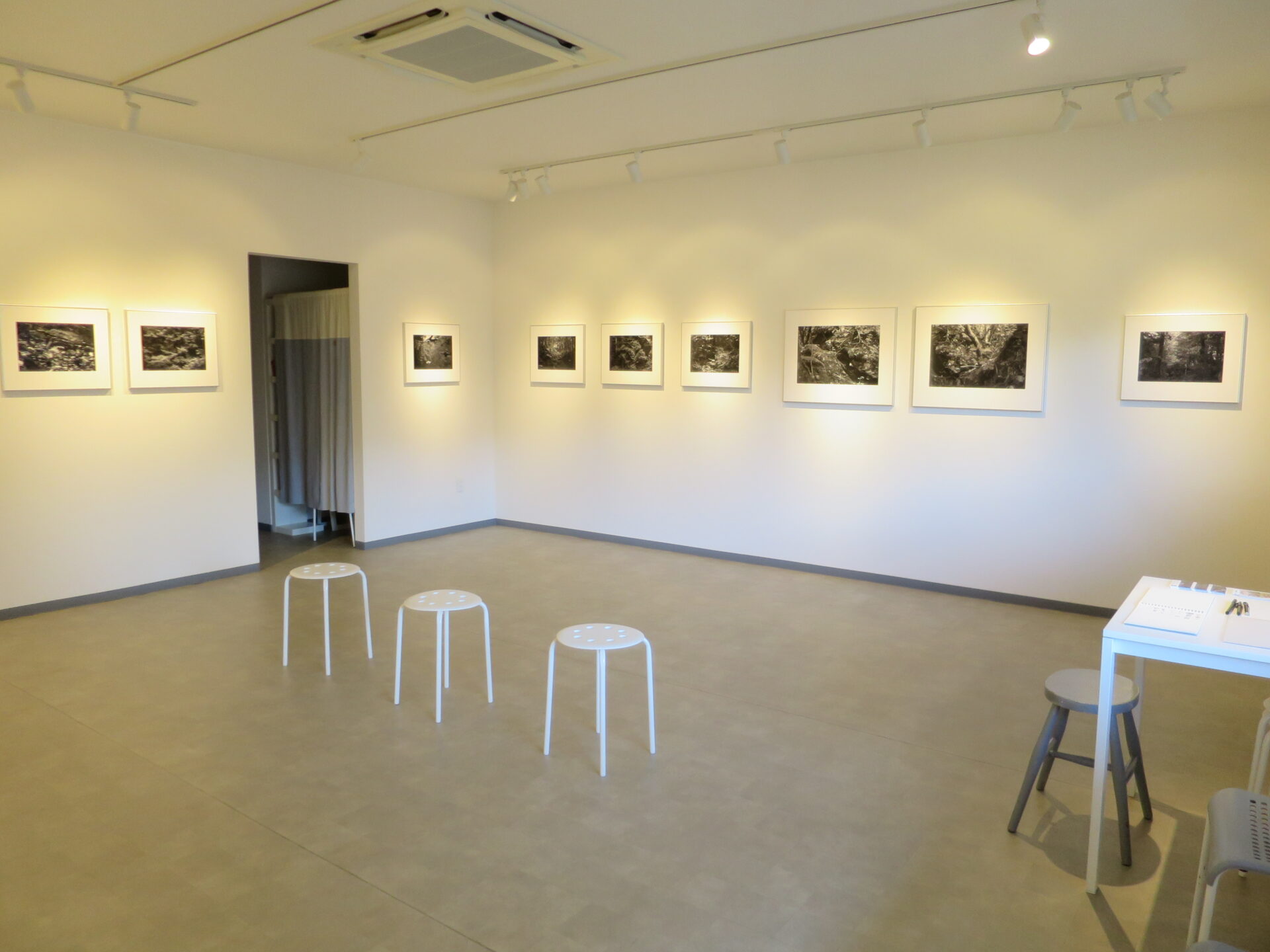 galleryY